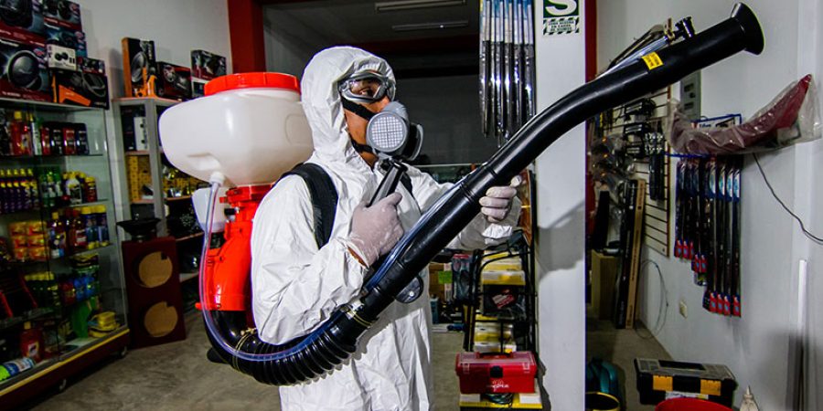 fumigacion-peru