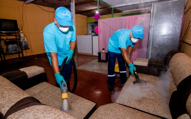 limpieza de colchones